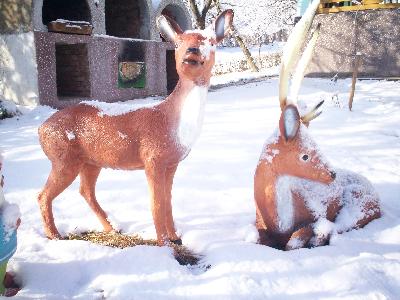 Pensiunea Piscul Soarelui, Campulung Muscel, judetul Arges