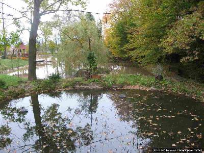 Pensiunea Uzu, Darmanesti, judetul Bacau