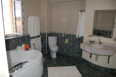 Vila Aristocratis, Targu Neamt, judetul Neamt