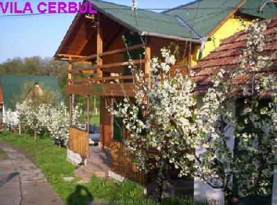 Pensiunea Connyland, Baile Felix, judetul Bihor