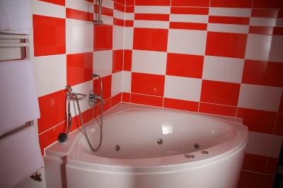 Pensiunea Pura Vida, Timisoara, judetul Timis