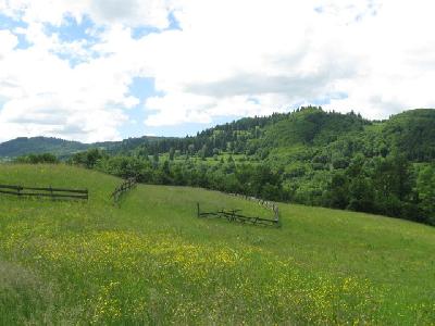 Pensiunea Casa din Poiana, Lupsa, judetul Alba