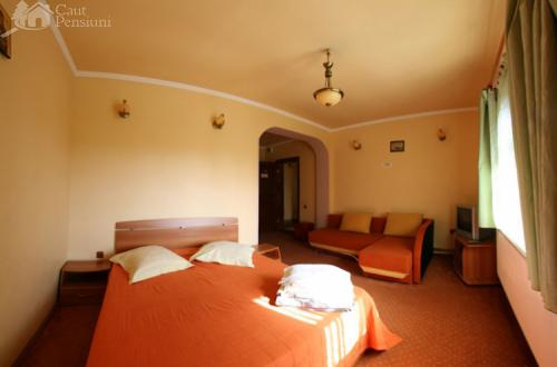 Vila Nona, Runcu, judetul Gorj