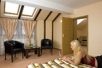 Pensiunea Ambient, Brasov, judetul Brasov