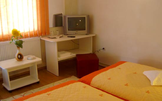 Pensiunea Excelsior Moinesti, Moinesti, judetul Bacau