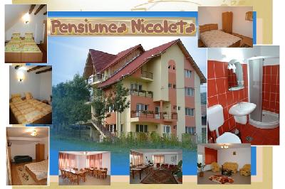 Pensiunea Nicoleta, Costesti, judetul Valcea