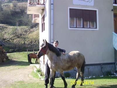Pensiunea Suciu Rachitele, Rachitele, judetul Cluj