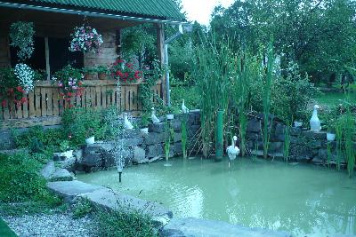 Pensiunea Iedera din Maramures, Maramures, judetul Maramures