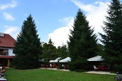 Pensiunea Transilvania House, Breaza, judetul Prahova