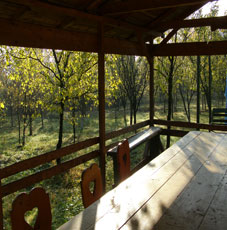 Pensiunea Mioara, Breaza, judetul Prahova