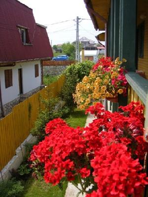 Hotel Golden Sea, Vama Veche, judetul Constanta