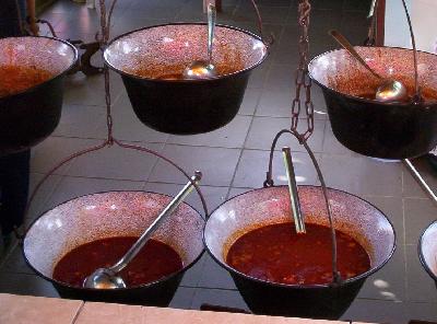 Pensiunea Gest, Baile Felix, judetul Bihor