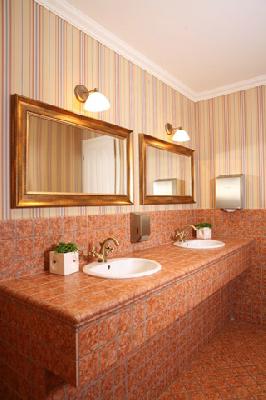 Pensiunea Donna Ana Timisoara, Timisoara, judetul Timis