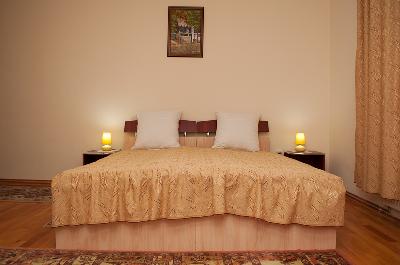 Pensiunea Ovidiu, Baia Mare, judetul Maramures