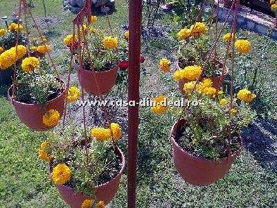 Pensiunea Casa din Deal, Govora, judetul Valcea