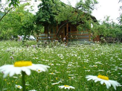 Pensiunea Cabana maduta, Chiscau, judetul Bihor