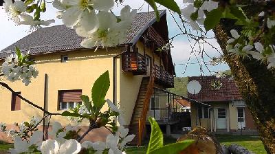 Pensiunea Stefanut, Scrind Frasinet, judetul Cluj