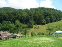 Pensiunea Lucian, Remeti, judetul Bihor