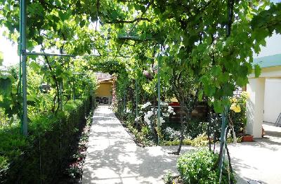 Vila Tano, Eforie Nord, judetul Constanta