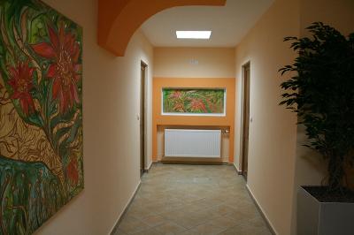 Pensiunea Pura Vida, Timisoara, judetul Timis