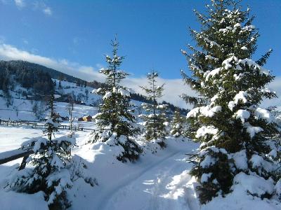 Pensiunea Roz, Garda de Sus, judetul Alba