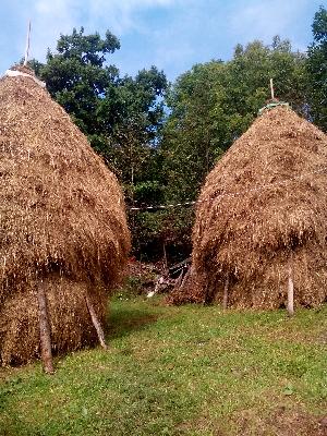 Pensiunea Sanctuarul Montan, Rosia Montana, judetul Alba