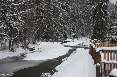 Pensiunea Lupul Singuratic, Comandau, judetul Covasna
