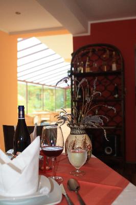 Pensiunea Safrane, Baile Herculane, judetul Caras Severin