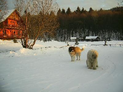 Pensiunea Csipkes, Zabala, judetul Covasna