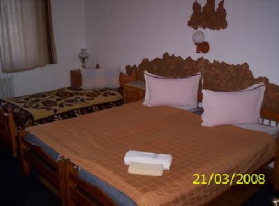 Vila Casa rustik, Baile Felix, judetul Bihor