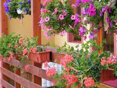 Pensiunea Gentiana din Izvoru Mures, Izvoru Mures, judetul Harghita