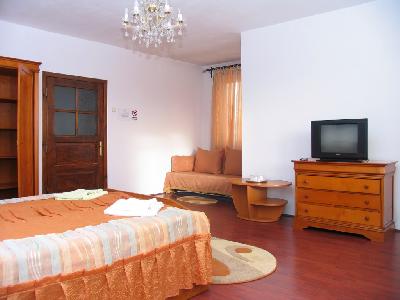 Pensiunea Artemis, Sibiu, judetul Sibiu