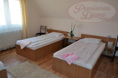 Pensiunea Diana, Cristur, judetul Hunedoara