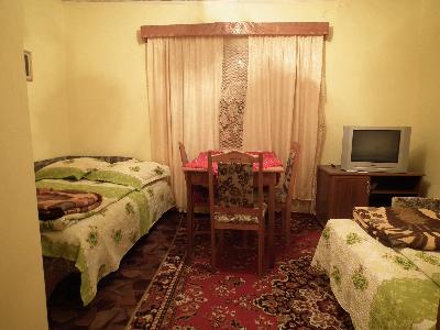 Pensiunea Viorica, Arieseni, judetul Bihor