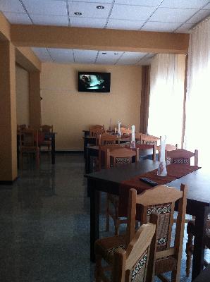 Pensiunea Elena din Soveja, Soveja, judetul Vrancea