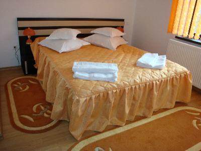 Pensiunea Pinul, Bran, judetul Brasov