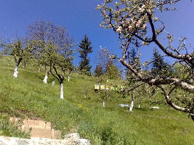 Pensiunea Casa Rucar, Rucar, judetul Arges
