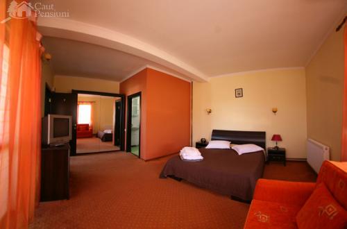 Vila Nona, Runcu, judetul Gorj