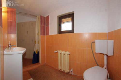 Pensiunea Bradu Piatra Neamt, Piatra Neamt, judetul Neamt