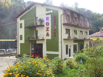 Pensiunea Roza, Nehoiu, judetul Buzau