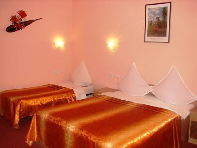 Pensiunea PALOMA, Brasov, judetul Brasov