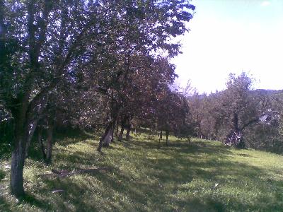 Pensiunea Ioana din Poienile Izei, Poienile Izei, judetul Maramures
