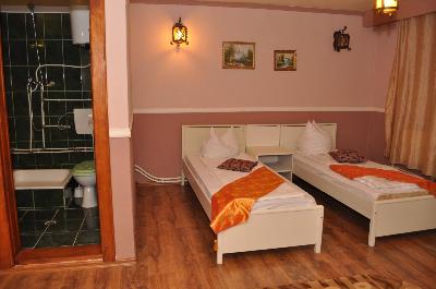 Pensiunea Castelul Alpin, Vartop, judetul Bihor