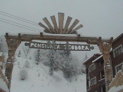 Pensiunea Teodora, Sant, judetul Bistrita Nasaud