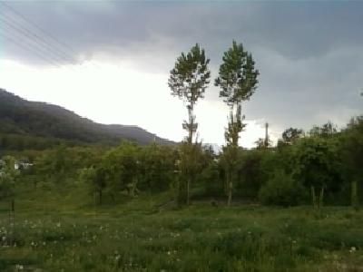 Pensiunea Casa Pedro din Danicei, Danicei, judetul Valcea