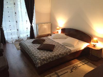 Pensiunea Carina, Timisoara, judetul Timis