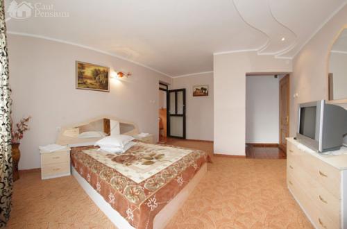 Pensiunea Bradu Piatra Neamt, Piatra Neamt, judetul Neamt