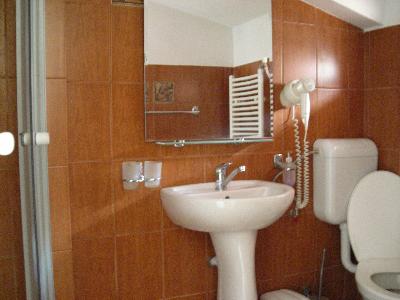 Pensiunea Ando, Iasi, judetul Iasi