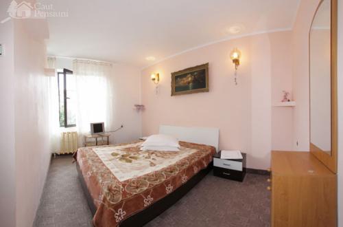 Pensiunea Bradu Piatra Neamt, Piatra Neamt, judetul Neamt