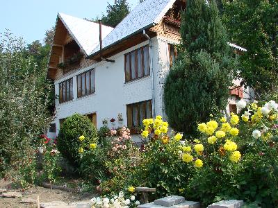 Pensiunea Paradis, Curtea de Arges, judetul Arges